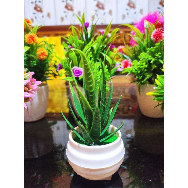 BUNGA CANTIK ALOEVERA ARTIFICIAL HIAS KANTOR HIAS MEJA HIAS DINDING/BUNGA MINI ALOEVERA