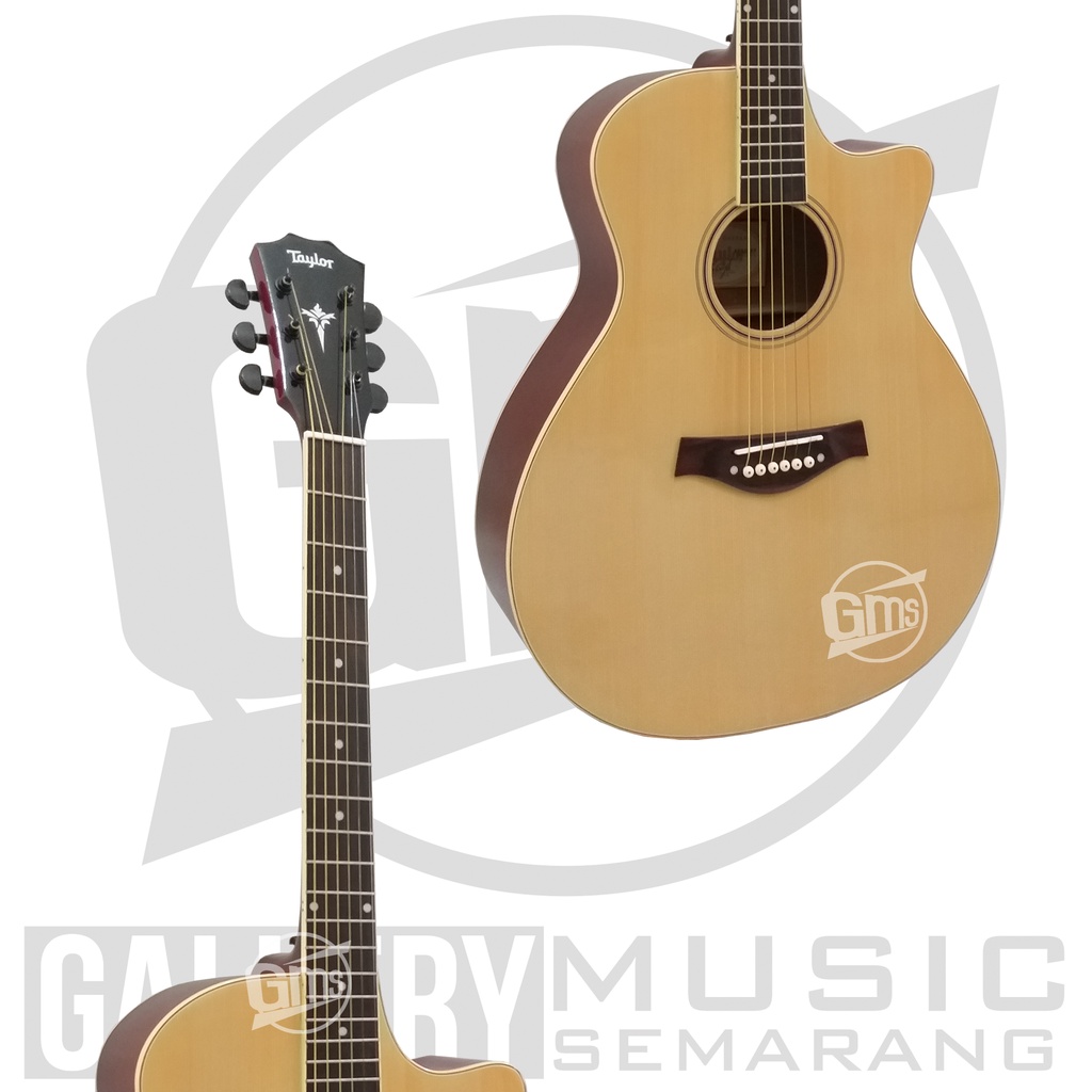 Gitar Akustik Taylor Custom Paket Super Komplit