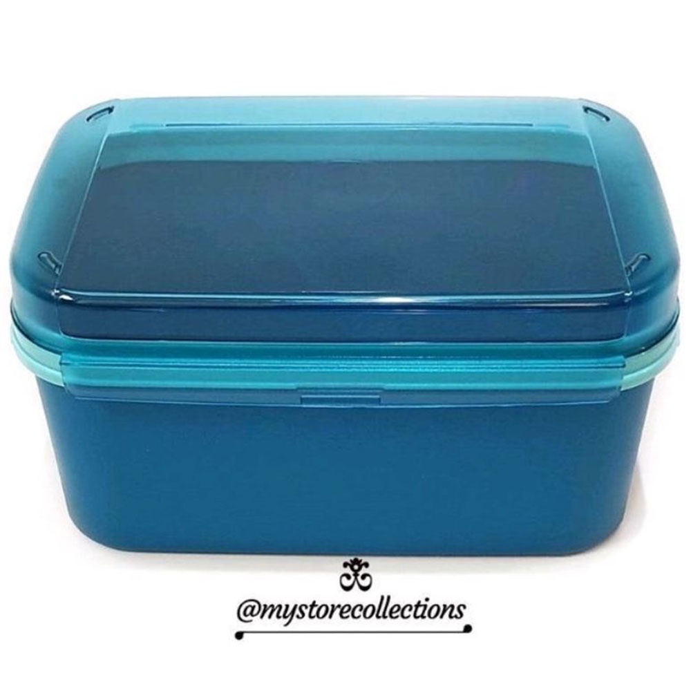 Tupperware Ezy Keeper 4.3L biru Signature Rectangular