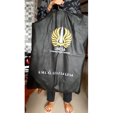 almamater unesa