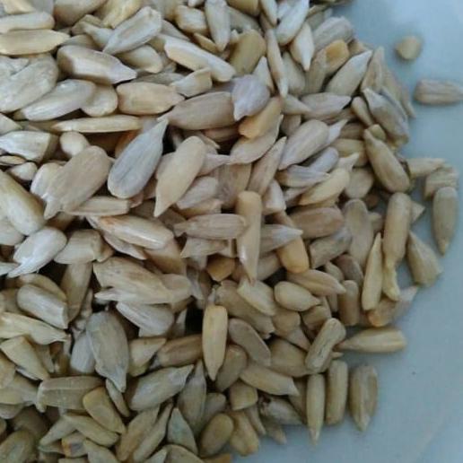 

_^_^_^] Biji bunga Matahari/ sun flower seeds 1 kg