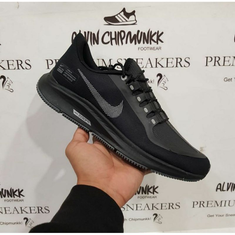 pegasus 35 water repellent