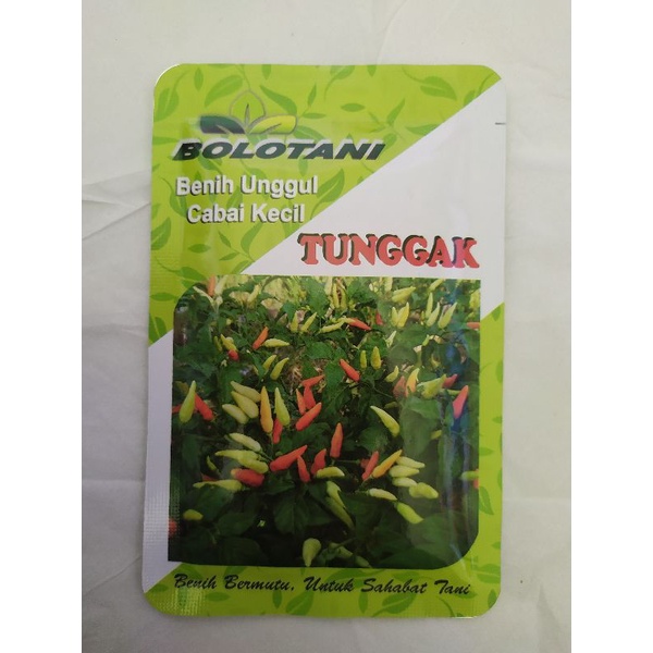 Benih cabai kecil TUNGGAK (10gr)