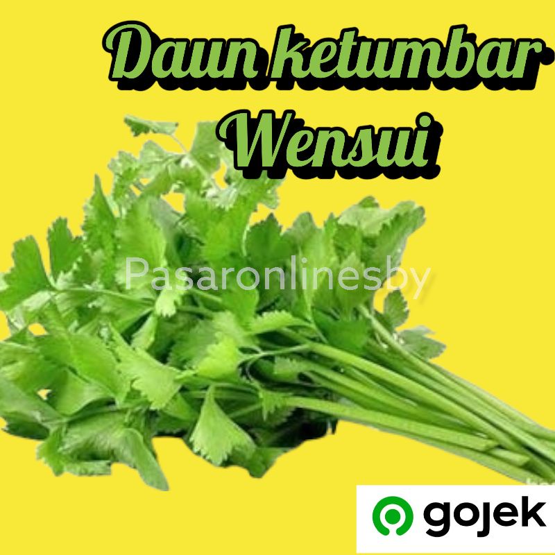 PASAR GUBENG - Daun Wansui / Daun Ketumbar