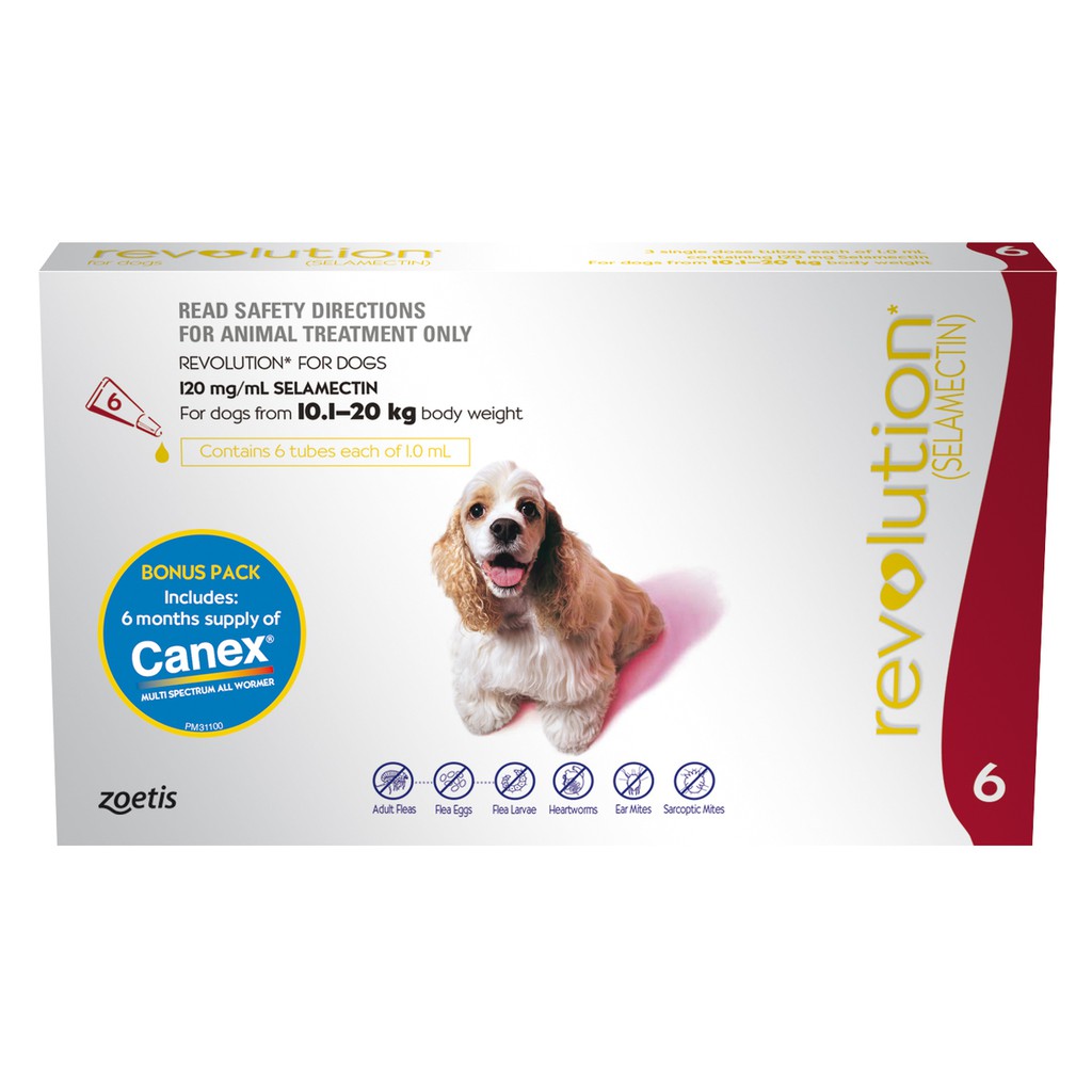 REVOLUTION RED / REVOLUTION FOR DOG 10-20 KG / OBAT KUTU ANJING