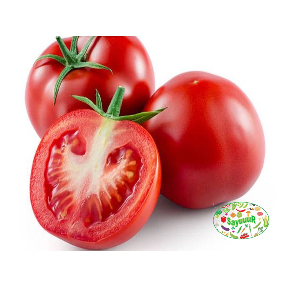 

tomat merah