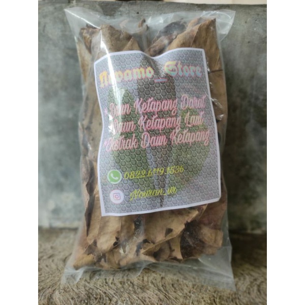 

Daun ketapang qualitas 500g