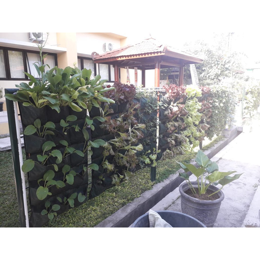 Green Wall Planter Bags Easy Grow 9/12/15 kantong/Planter Bag Dinding/Vertical Garden