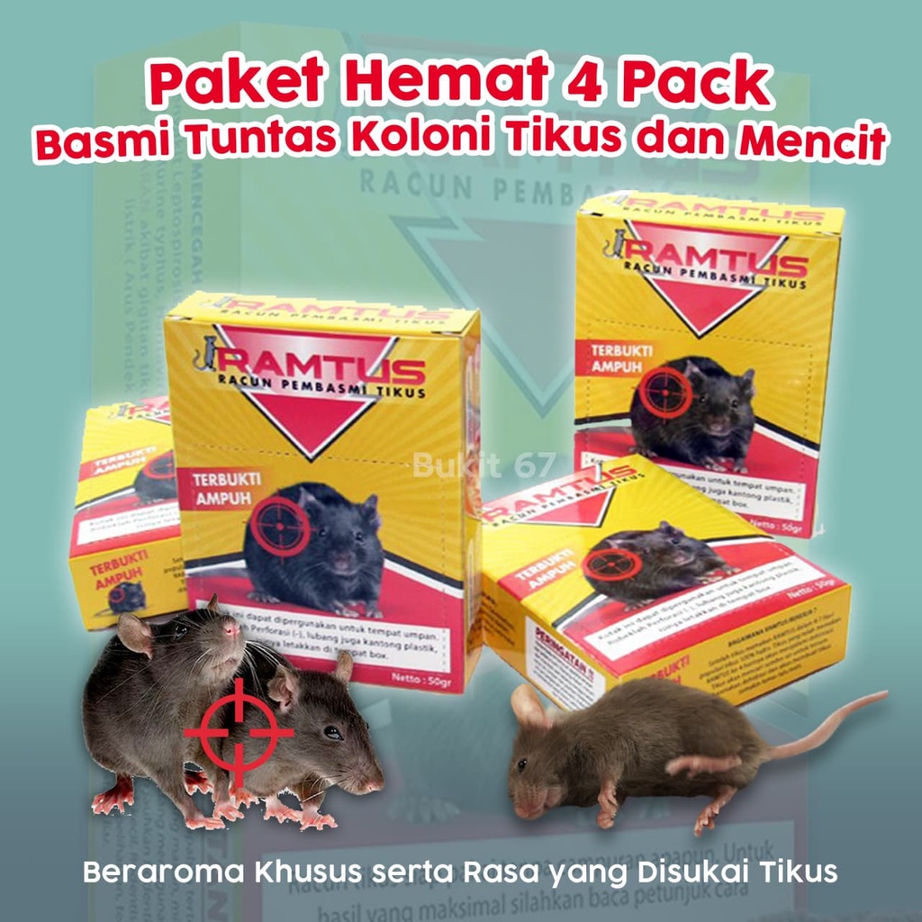 Racun Perangkap Obat Jebakan Alat Pengusir Pembasmi Tikus Ampuh Mati Kering Tidak Bau Ramtus  Bisa U