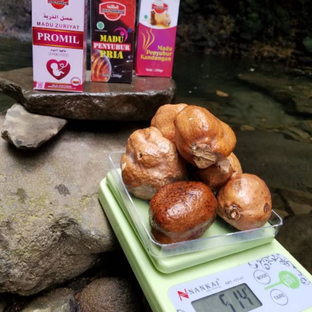 

paket spesial 3 botol penyubur plus 500gram buah zuriat