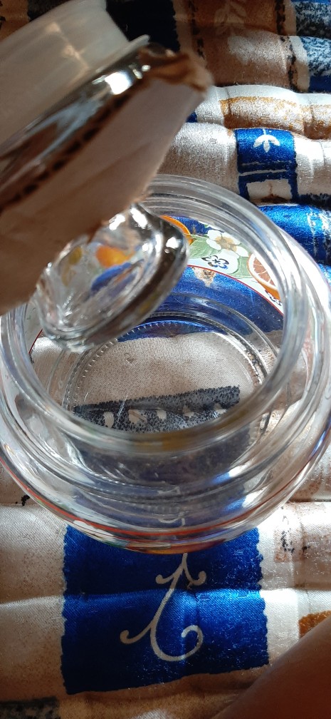 Toples Kaca Seal Ijj 1000 Gl/d