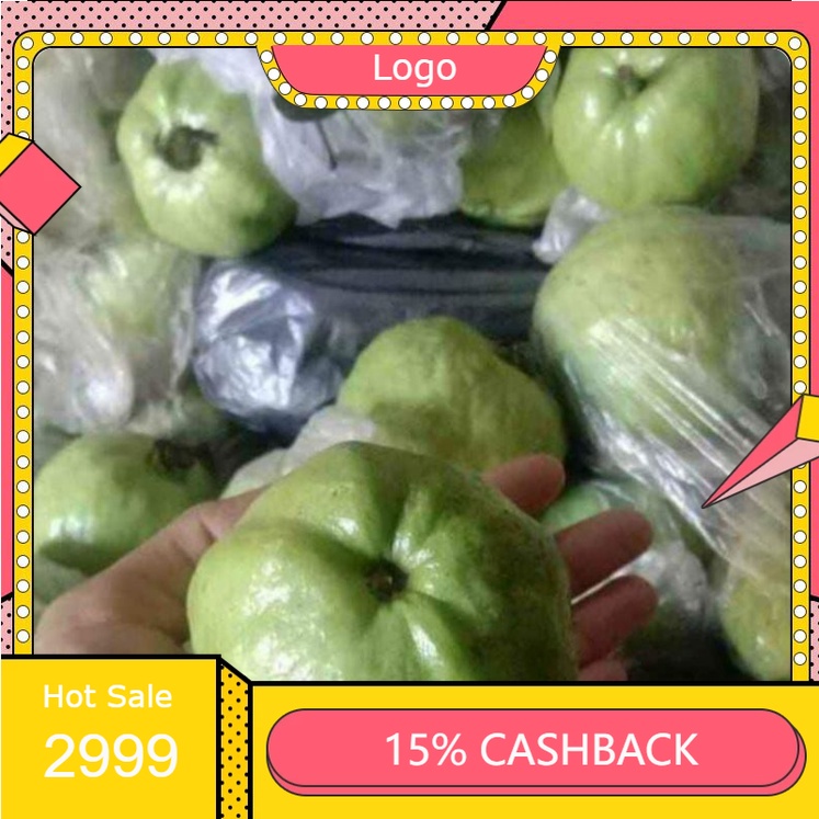 

RENGKEK SURABAYA - Buah Jambu Kristal