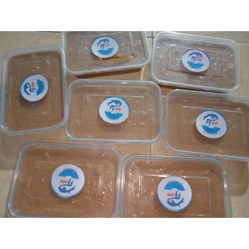 

Petis Ikan Tuna 100% Asli (Bukan Kw) 500 gr