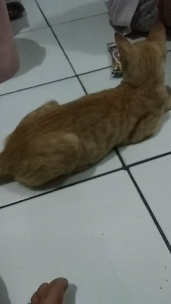 Gamis Meisya Rempel-gamis Batik Kombi Wolvice Tersedia Ukuran S,m,l,xl,xxl&xxxl Jumbo