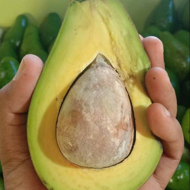 

Alpukat mentega
