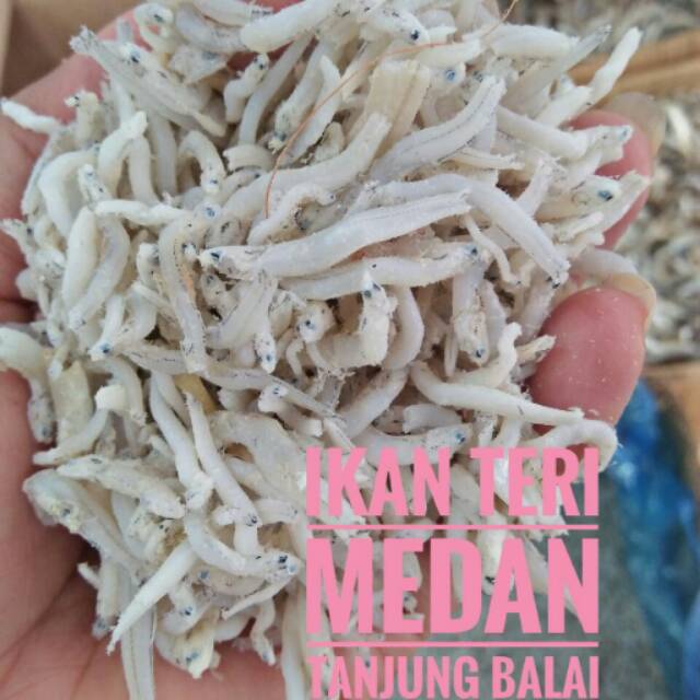 

Teri Medan