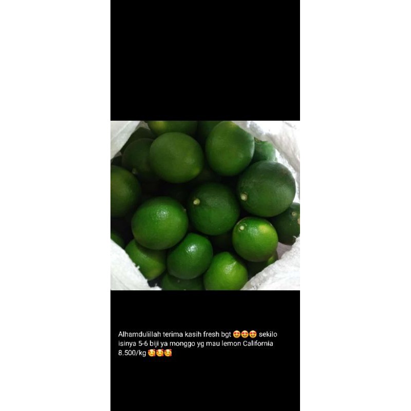 

jeruk lemon california