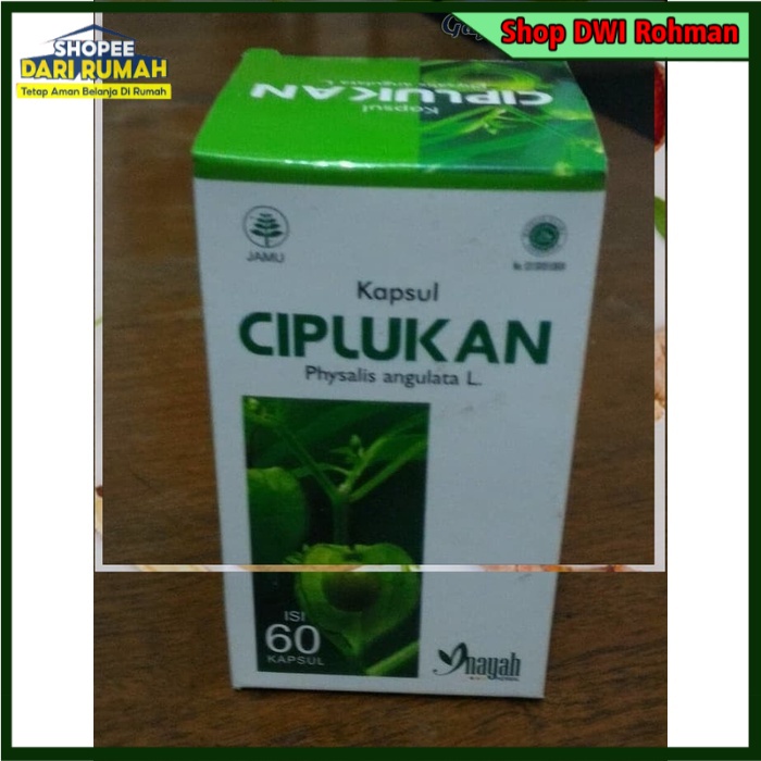 [ORIGINAL] Ciplukan / Kapsul Daun Ciplukan