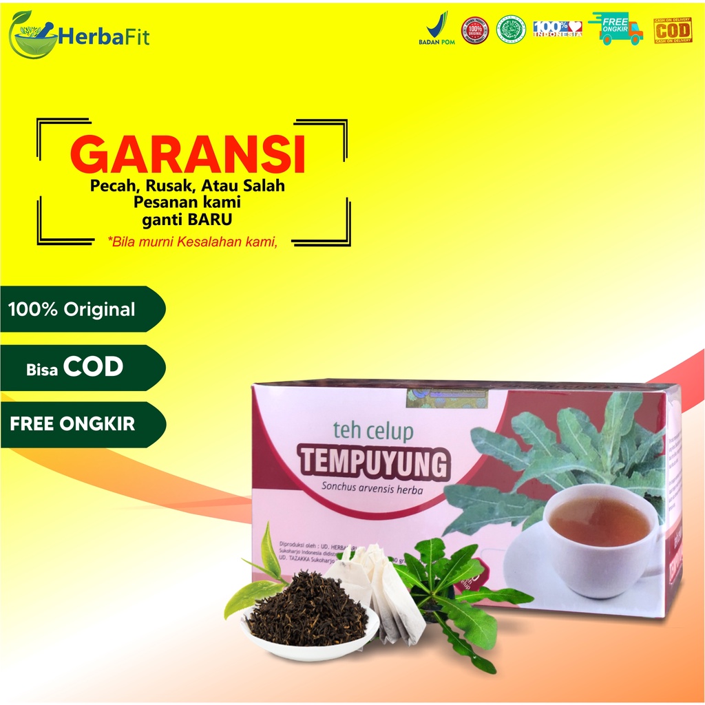 

Obat batu ginjal dan IInfeksi Saluran Kemih Teh Tempuyung Tazakka isi 20 kantung teh celup HALAL dan BPOM Original HALAL MUI