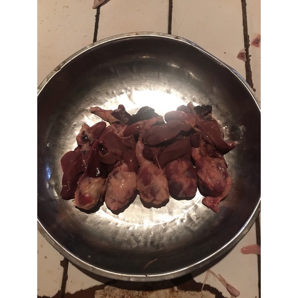 

Ati ampela Ayam besar