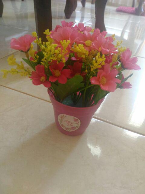 Bunga Hias Bunga Daisy Cantik Shabby Bunga Shabby