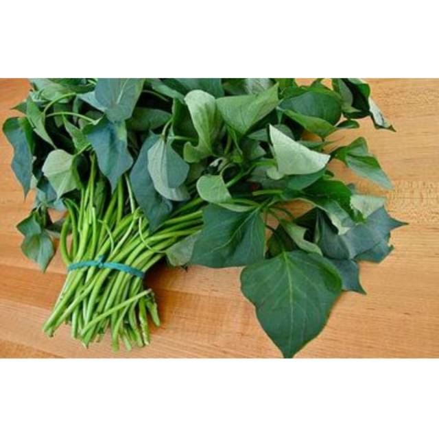 

Daun ubi jalar fresh murah daun ketela daun boled