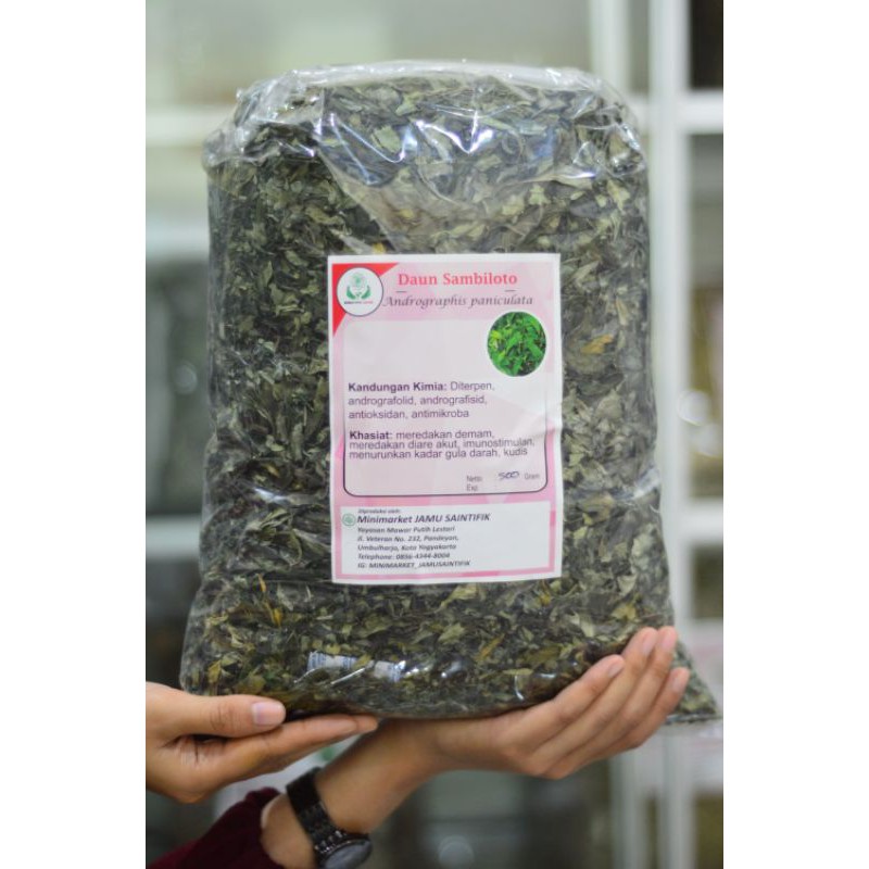 

Herba Sambiloto Kering Premium