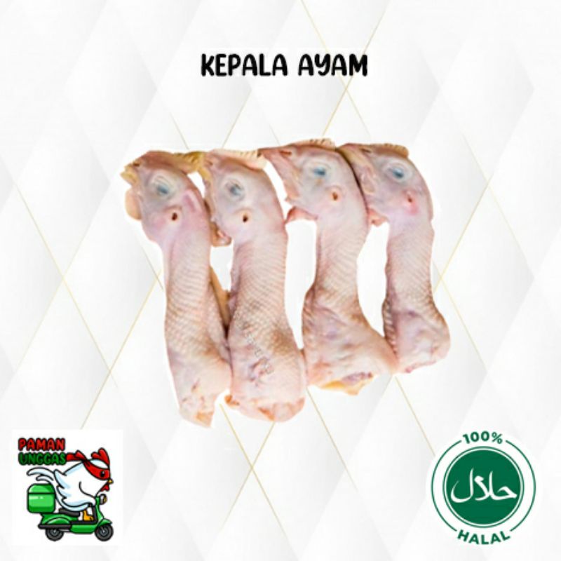 

kepala ayam potong/broiler/fresh/chilled