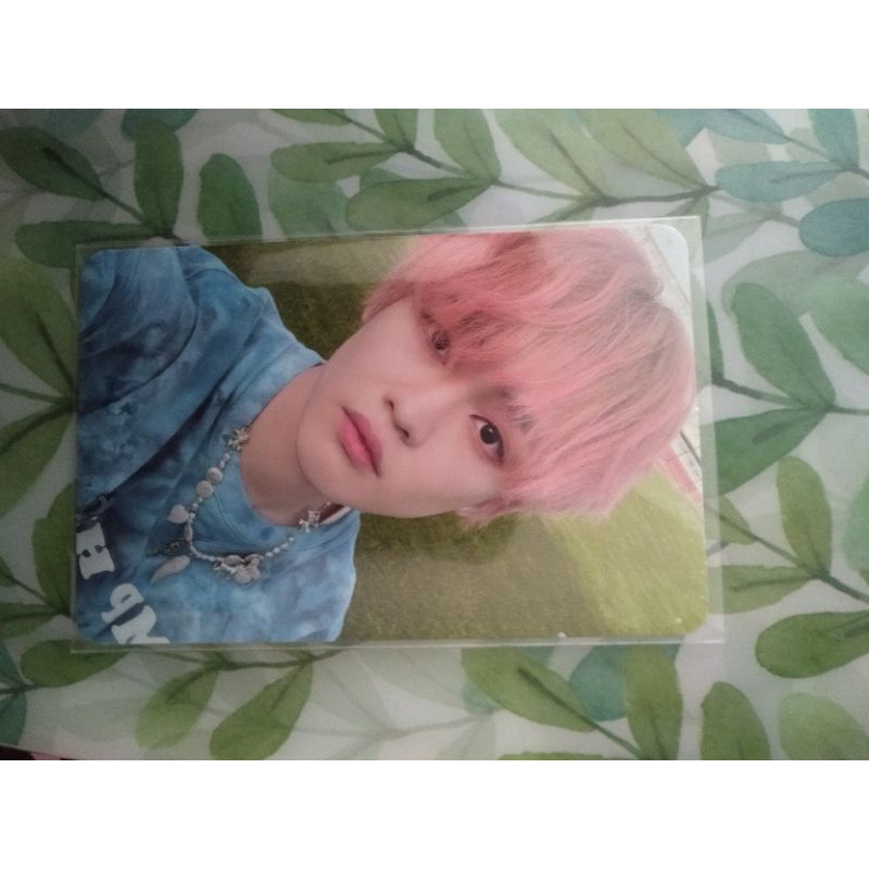 Chenle hello ver. photocard