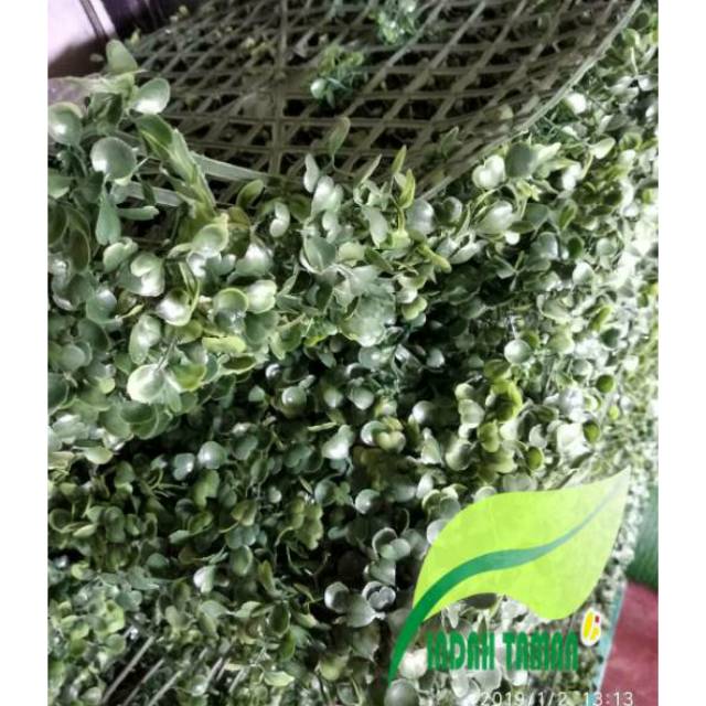 daun dolar sintetis - tanaman rambat dolar sintetis 40x60cm - tanaman dolar plastik