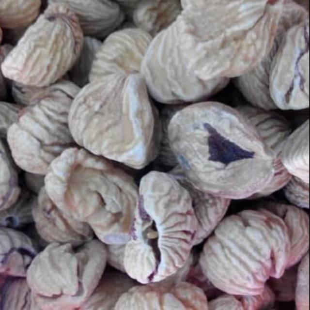 

LAKCI KACANG CHESNUT
