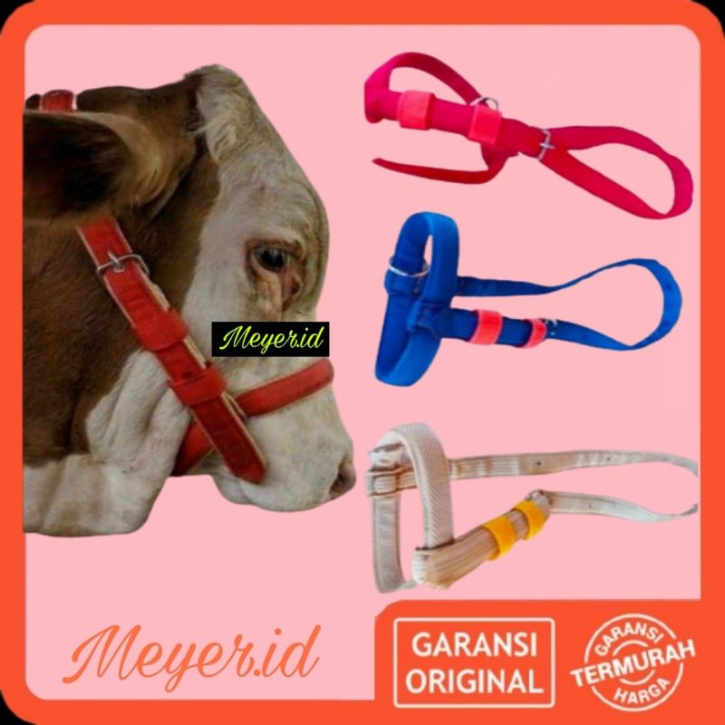 [COD] TALI SAPI ,KAMBING / BRANGUS SAPI / IKAT KEPALA SAPI / BRACOK / BRONGSONG / HEAD HALTER SAPI /