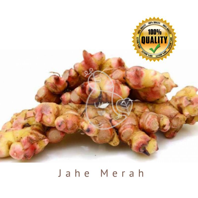 

Jahe Merah 1000g / Ubimart Official