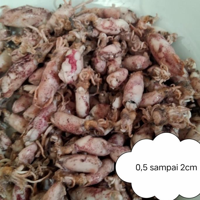 

[COD] Cumi asin beby/ super kecil/cumi asin beby/beby cumi asin imut [COD]