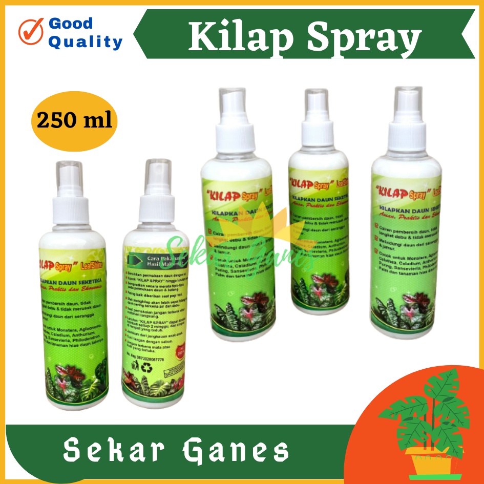 Kilap Spray leafshine 250 ml Pengkilap Daun Seketika Lebih Efisien Semir Pengkilap Daun - Kilap Daun SPRAY 250 ML Pengkilap Daun Seketika Lebih Efisien kilap daun spray 250 ml