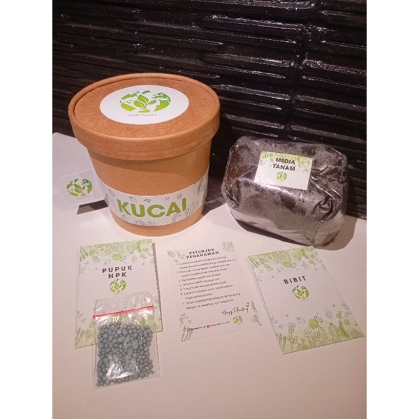 Paket Siap Tanam Kucai - Plant Planet