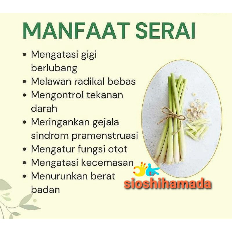 Jual Serai Sereh Untuk Kesehatan Tubuh 100gr Shopee Indonesia