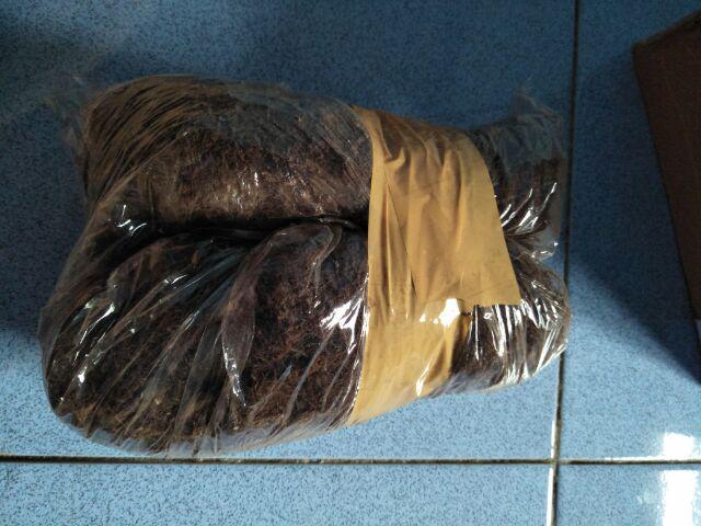 Moss Hitam Lokal