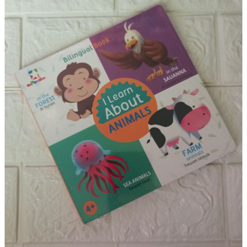 Boardbook I Learn About Animals