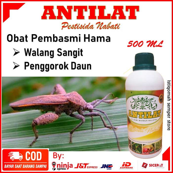 Obat Antilat Pembasmi Hama Walang sangit/Penggorok Daun - Antilat Pestisida Insektisida Nabati Obat 