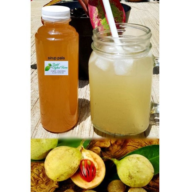 Sirup Pala Asli Homemade 250 ml