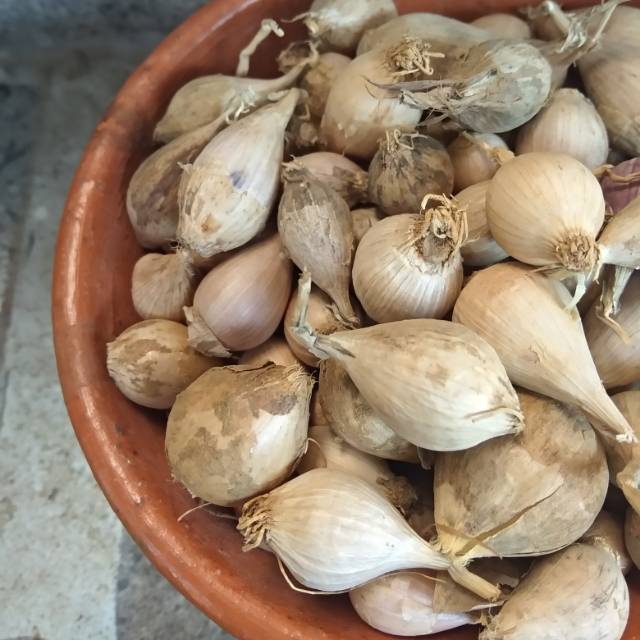 Bawang putih tunggal (lokal)/ bawang Lanang lokal 100 gram