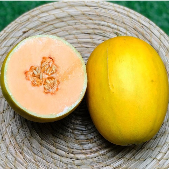 

Melon Golden 1 Buah