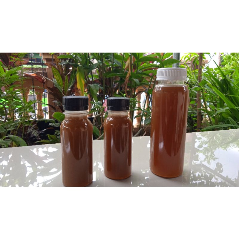 

madu lebah tanpa sengat stingless bee klanceng trigona biroi