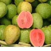

Buah Kualitas Premium ( Jambu Biji Merah ) Kemasan 500 gram - 1 Kg / Buah Jus
