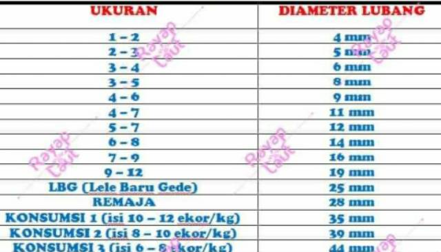 Ember Sortir Ikan lele Seritan Ikan Lele .Bak Sortir Ikan lele benih dan ikan komsumsi