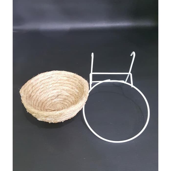 31+ Sarang burung zebra finch terbaru