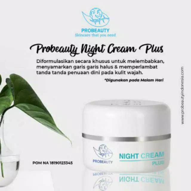 NIGHT CREAM PLUS (Double glowing)