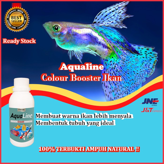 Obat Vitamin Ikan hias tawar Louhan Arwana Cupang Koi pencerah warna Ikan Anti Stress