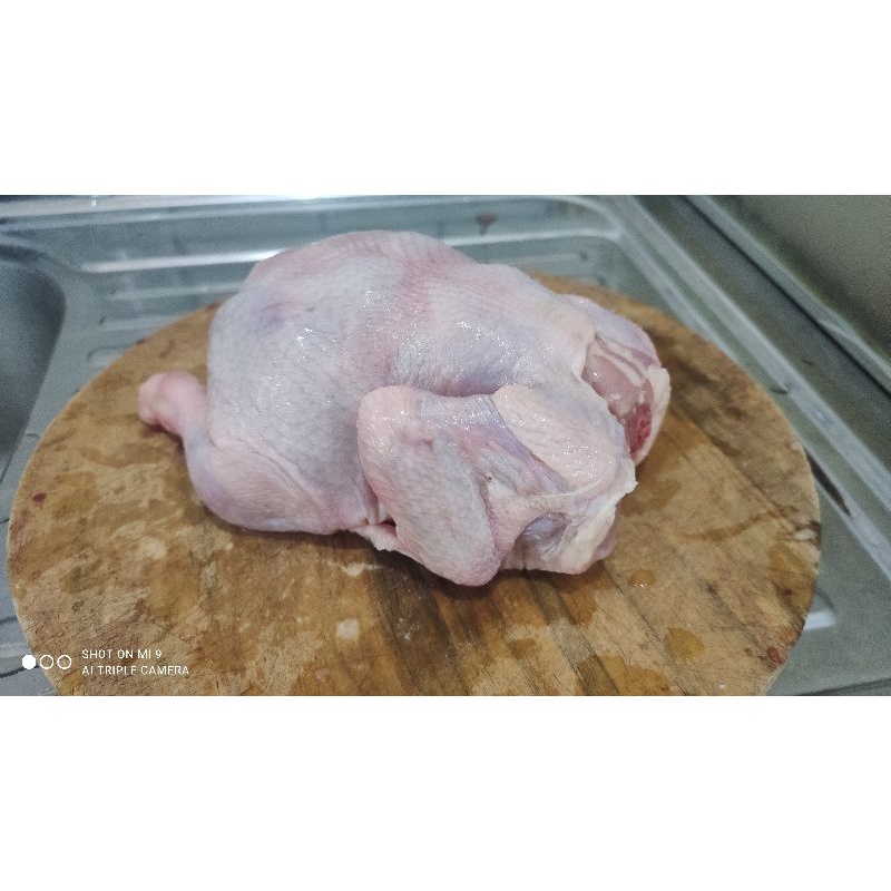 

Ayam frozen